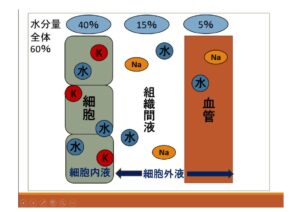 比嘉3枚目のサムネイル